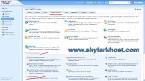 set default page in parallel plesk 10.4.4