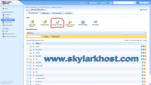 set default page in parallel plesk 10.4.4
